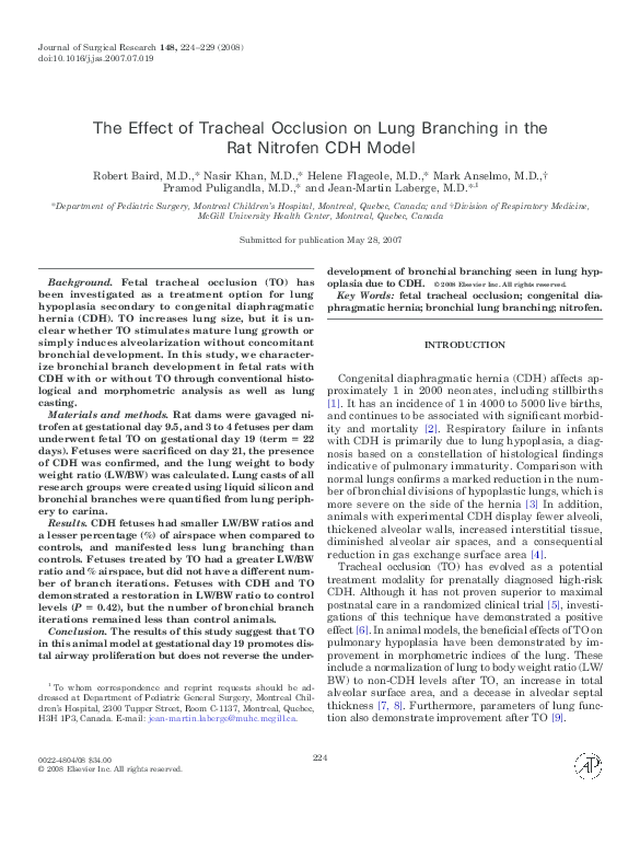 (PDF) The effect of tracheal occlusion on lung branching in the rat ...