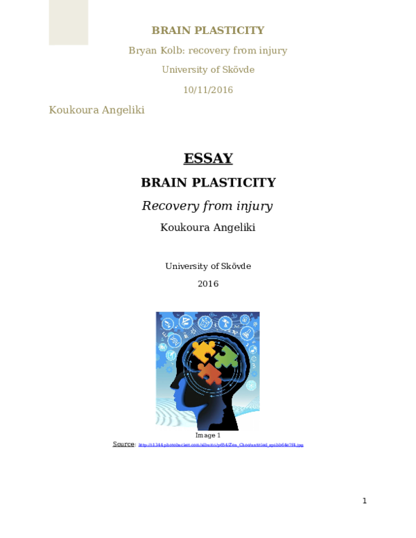 Doc Brain Plasticity Recovery From Injury Doc Brain Plasticity Recovery From Injury