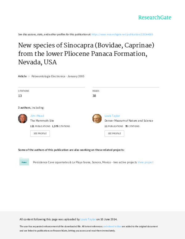 New species of Sinocapra (Bovidae, Caprinae) from the Lower Pliocene Panaca Formation, Nevada, USA