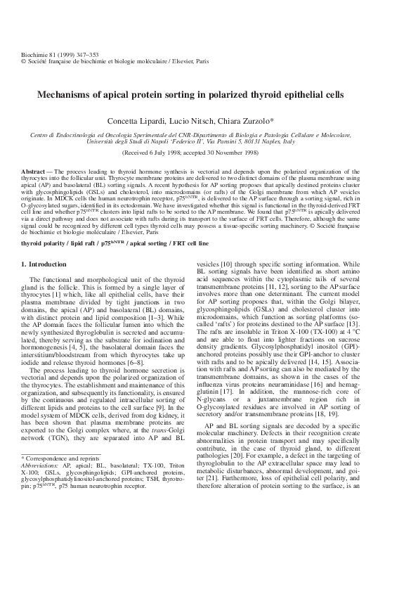 (PDF) Mechanisms of apical protein sorting in polarized thyroid ...