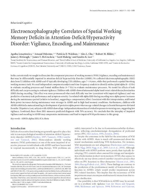 (PDF) Electroencephalography Correlates of Spatial Working Memory ...