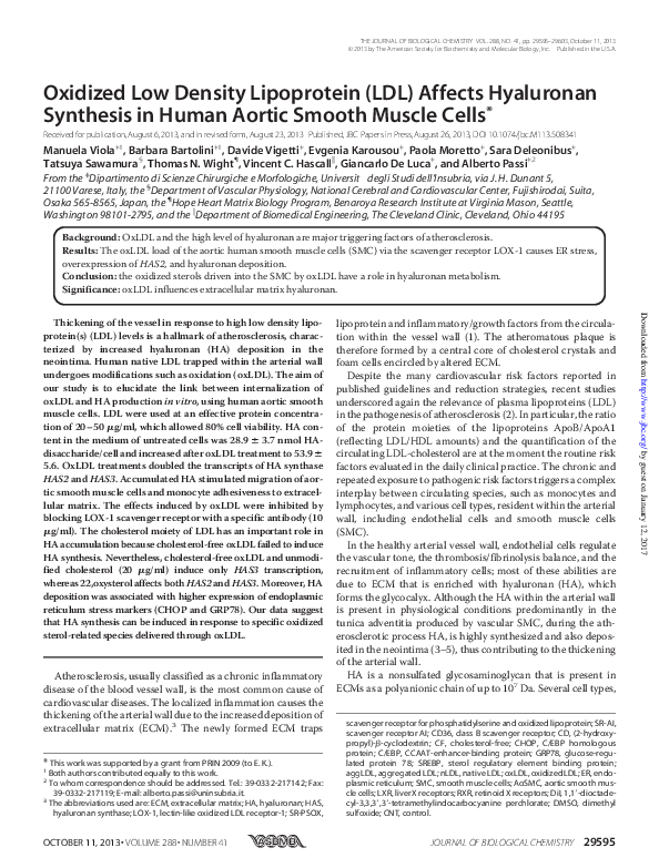 (PDF) Oxidized Low Density Lipoprotein (LDL) Affects Hyaluronan ...