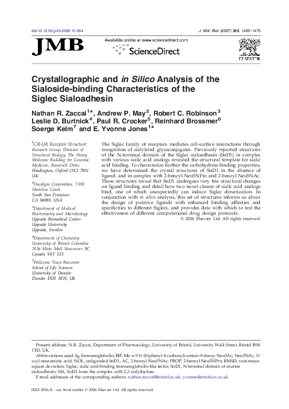 (PDF) Crystallographic and in silico analysis of the sialoside-binding ...