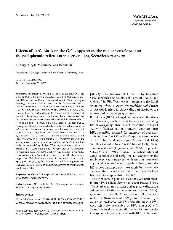 (PDF) Effects of brefeldin A on the Golgi apparatus, the nuclear ...