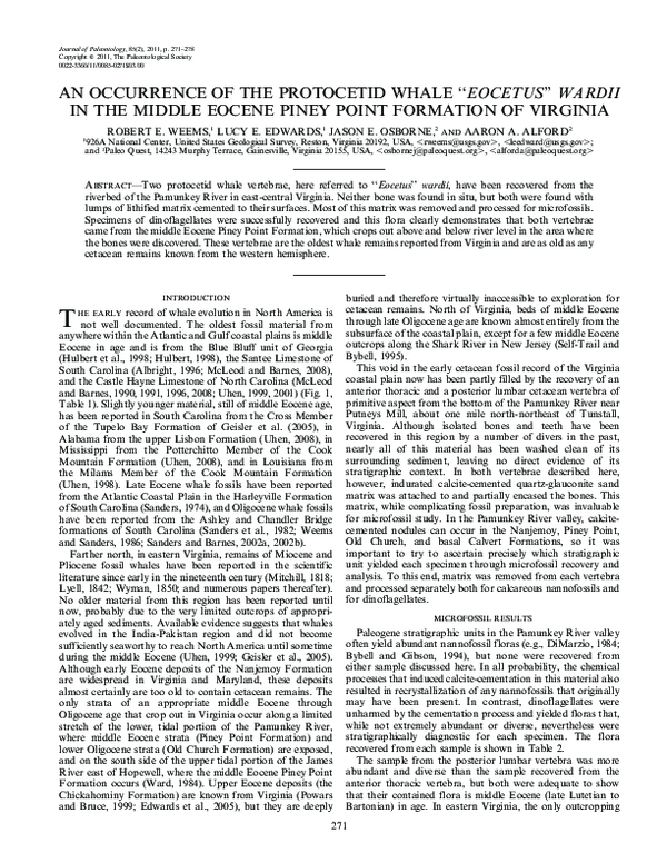 (PDF) An Occurrence of the Protocetid Whale