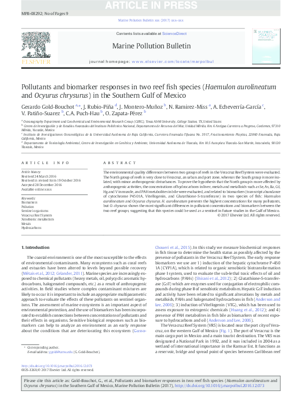 Common reef fish image