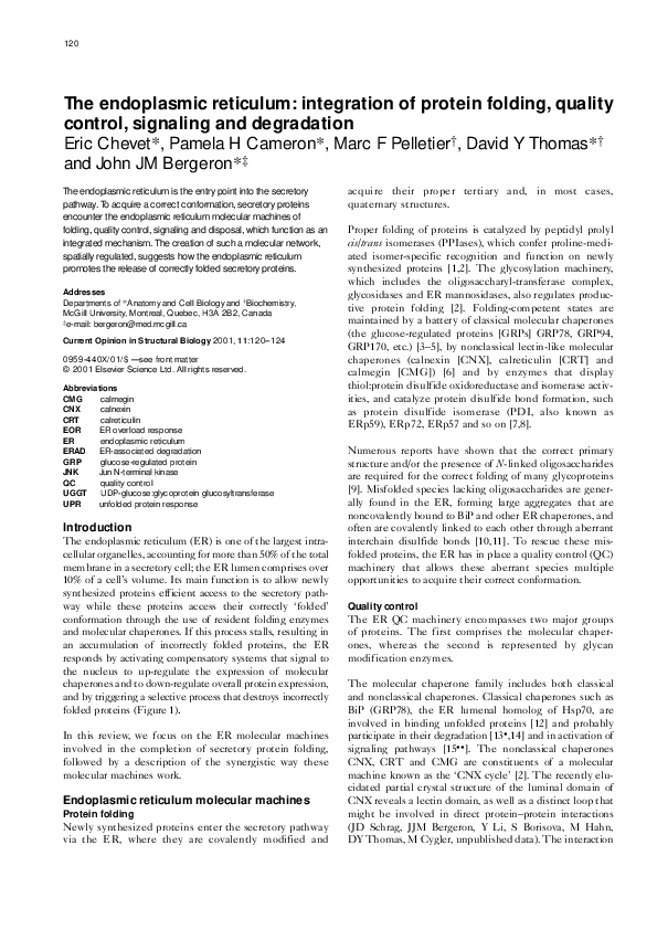 (PDF) The Endoplasmic Reticulum Integration of Protein Folding