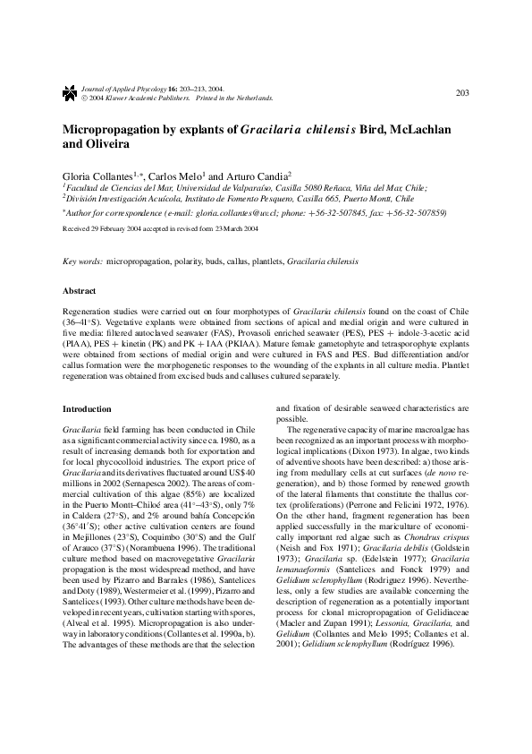 Thesis on micropropagation image
