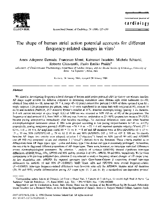 (PDF) The shape of human atrial action potential accounts for different ...