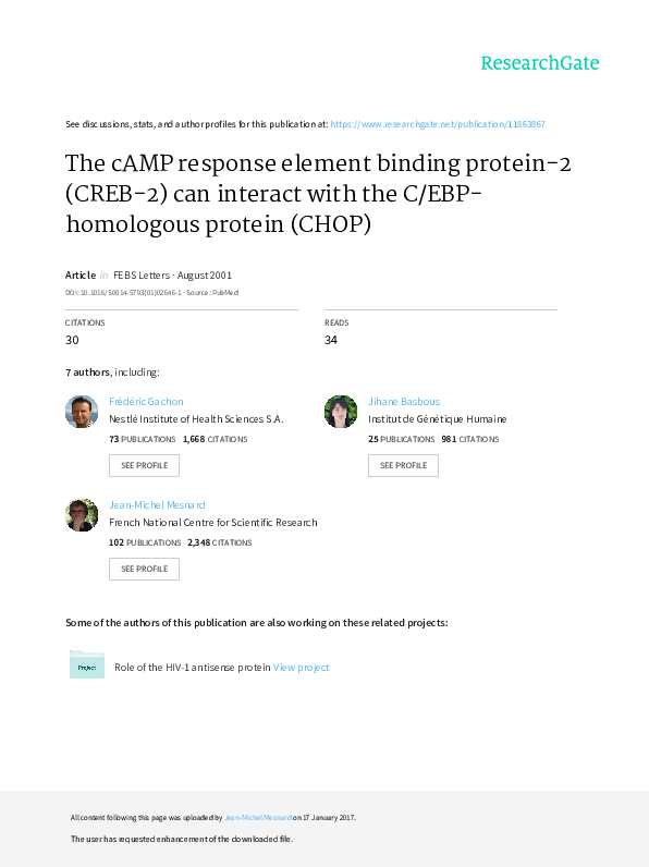 (PDF) The cAMP response element binding protein-2 (CREB-2) can interact ...