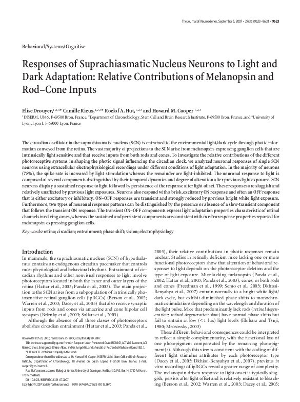 (PDF) Responses of Suprachiasmatic Nucleus Neurons to Light and Dark ...