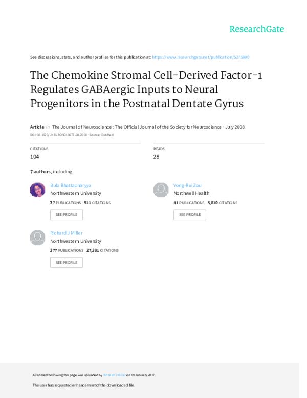 (PDF) The Chemokine Stromal Cell-Derived Factor-1 Regulates GABAergic ...
