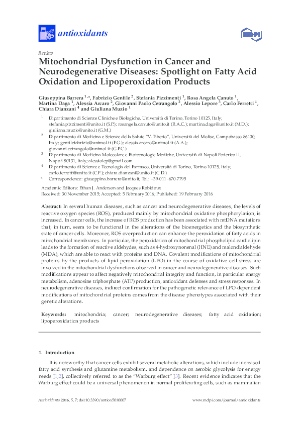 (PDF) Mitochondrial Dysfunction in Cancer and Neurodegenerative ...