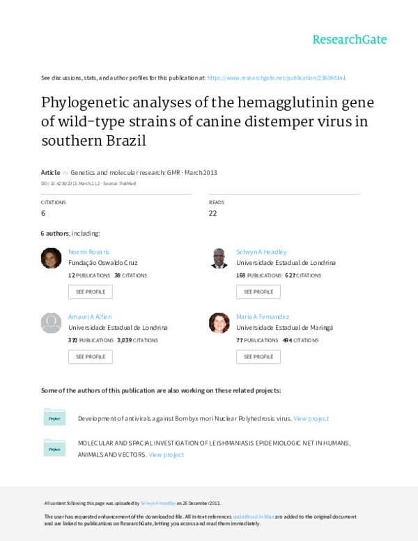 (PDF) Molecular analysis of the N gene of canine distemper virus in