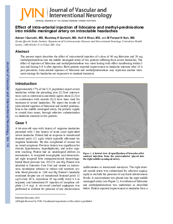 Lidocaine absorption picture