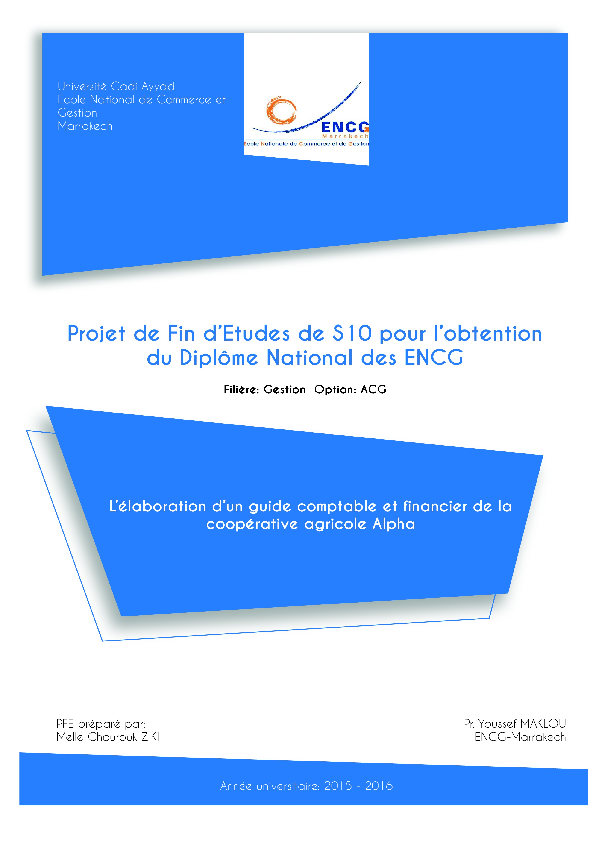 (DOC) Rapport
