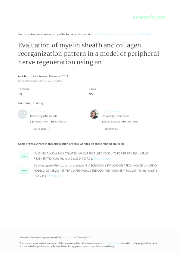 (PDF) Evaluation of myelin sheath and collagen reorganization pattern ...