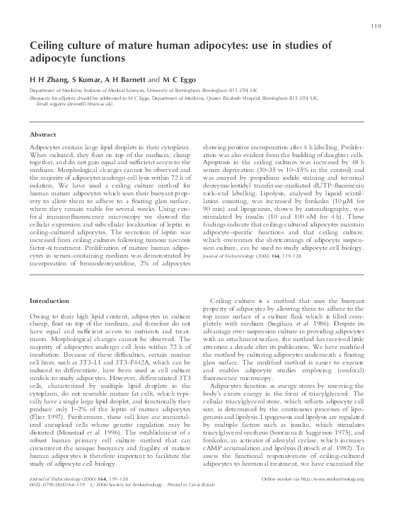 (PDF) Ceiling culture of mature human adipocytes: use in studies of ...