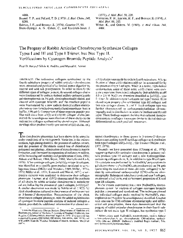 (PDF) The Progeny of Rabbit Articular Chondrocytes Synthesize Collagen ...