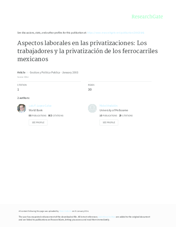 (PDF) Aspectos laborales en las privatizaciones: Los trabajadores y la ...
