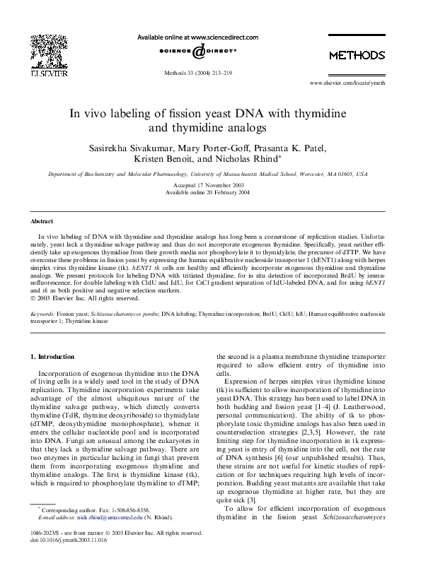 Nucleoside analogues antiviral drugs picture