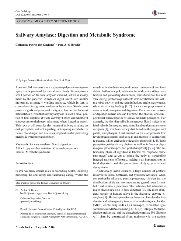Salivary amylase essay picture