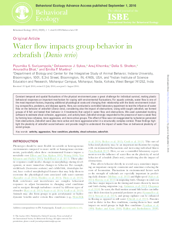 (PDF) Water flow impacts group behavior in zebrafish (Danio rerio