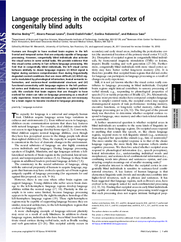 (PDF) Language processing in the occipital cortex of congenitally blind ...
