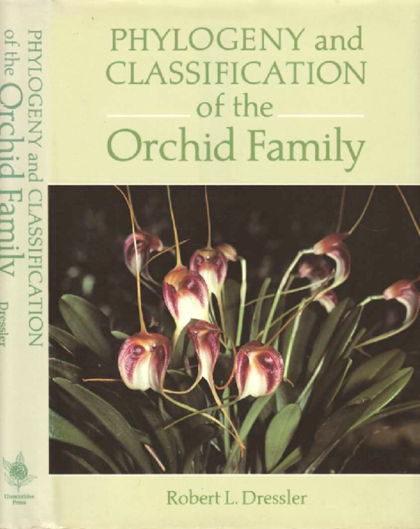 (PDF) Phylogeny and classification of the orchid family