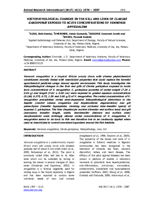(PDF) HISTOPATHOLOGICAL CHANGES IN THE GILL AND LIVER OF CLARIAS ...