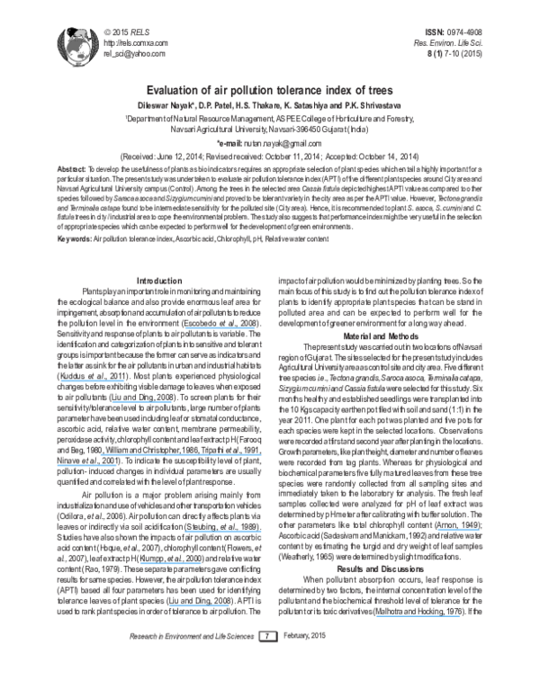 My gardening experience essay image