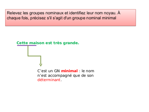 le groupe nominal et les expansions du nom