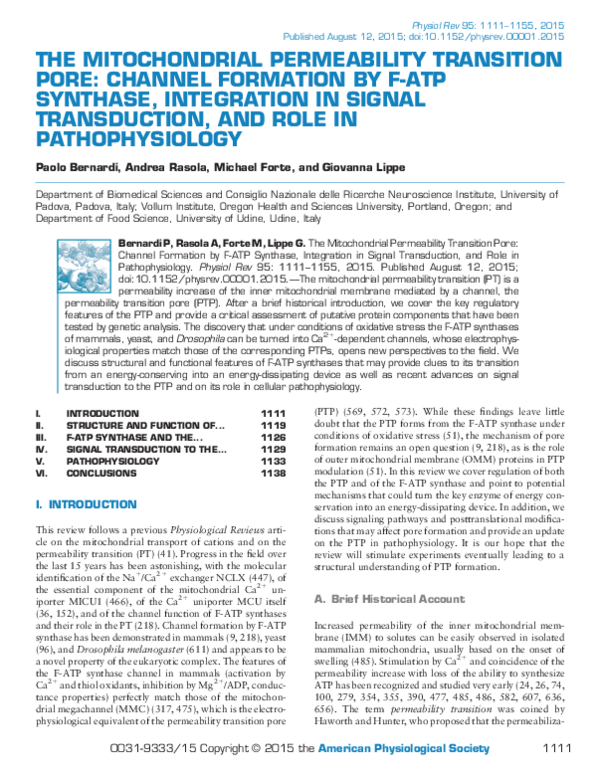 (PDF) THE MITOCHONDRIAL PERMEABILITY TRANSITION PORE: CHANNEL FORMATION ...