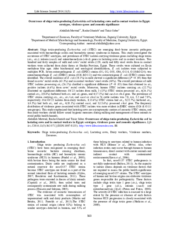 (PDF) Occurrence of shiga toxin-producing Escherichia coli in lactating ...