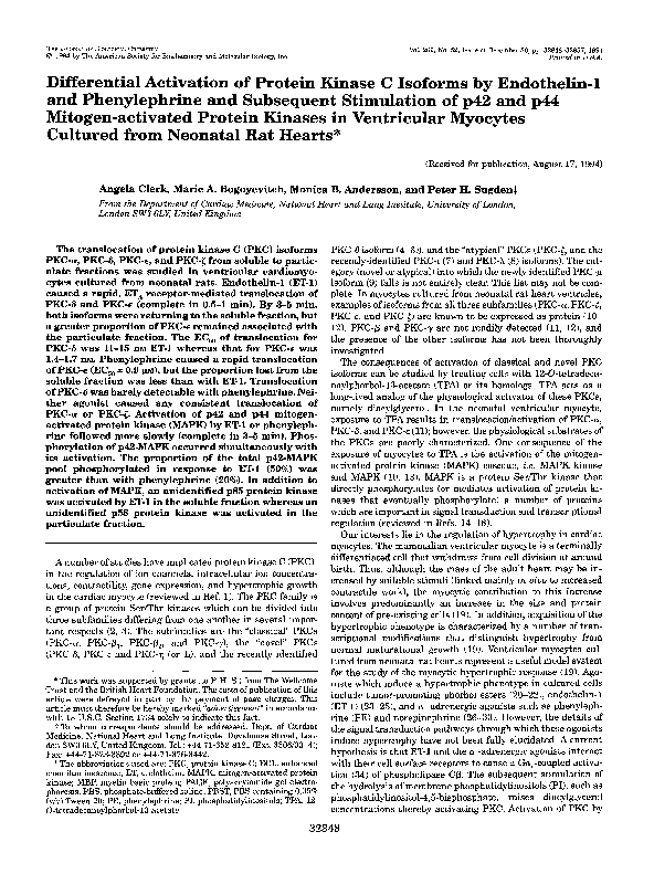 (PDF) Differential Activation of Protein Kinase C Isozymes by Phorbol ...