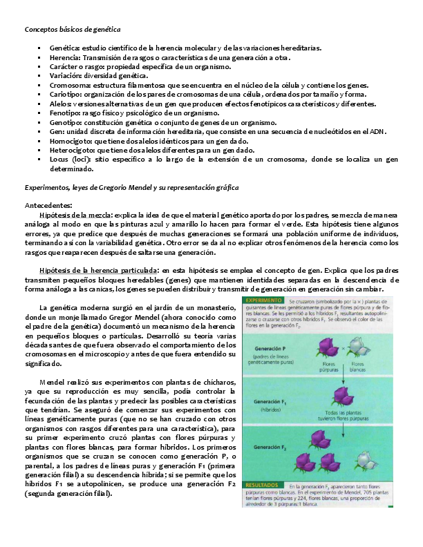 (PDF) Conceptos básicos de genética alma galarza Academia.edu
