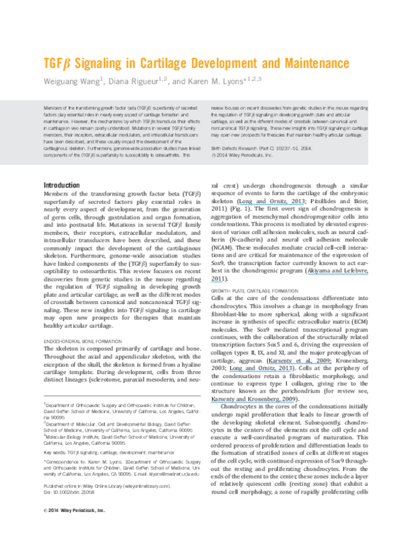 (PDF) TGFβ signaling in cartilage development and maintenance