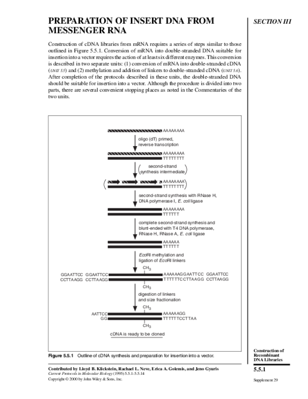 (PDF) Conversion of mRNA into DoubleStranded cDNA Jeno Gyuris Academia.edu