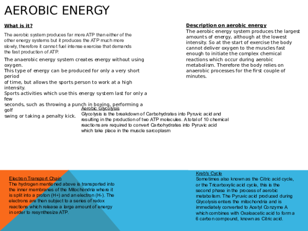 (PPT) Aerobic energy