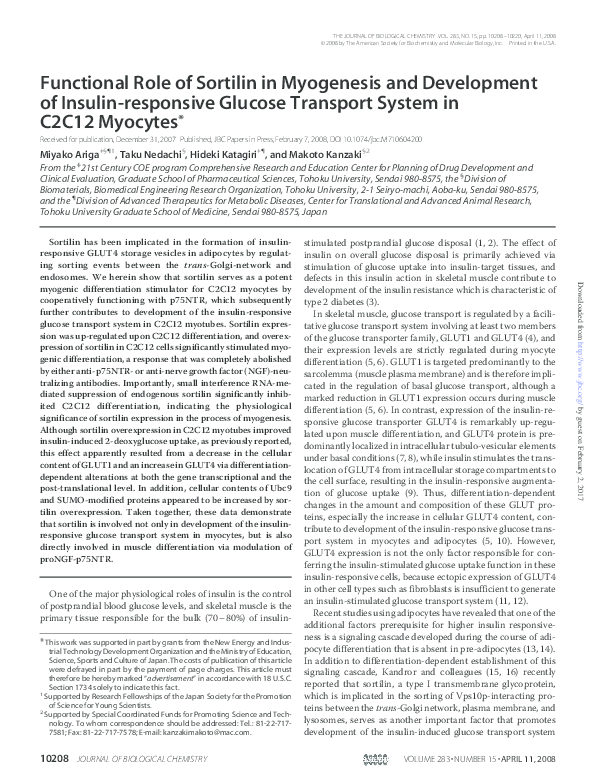 (PDF) Functional Role of Sortilin in Myogenesis and Development of ...