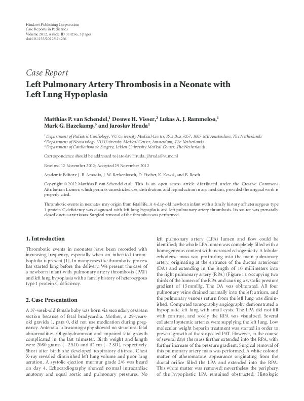 (PDF) Left Pulmonary Artery Thrombosis in a Neonate with Left Lung ...