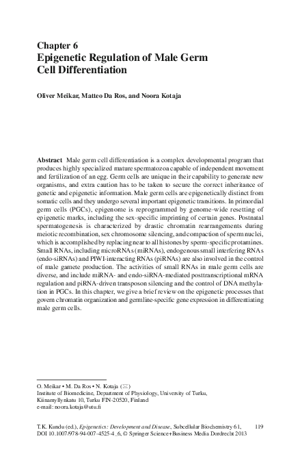 (PDF) Epigenetic Regulation of Male Germ Cell Differentiation