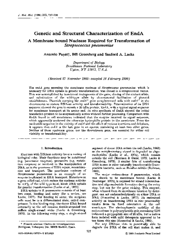(PDF) Genetic and structural characterization of endA