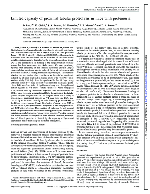 (PDF) Limited capacity of proximal tubular proteolysis in mice with ...
