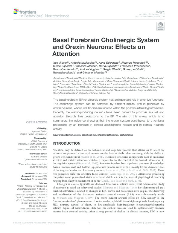 (PDF) Basal Forebrain Cholinergic System and Orexin Neurons: Effects on ...