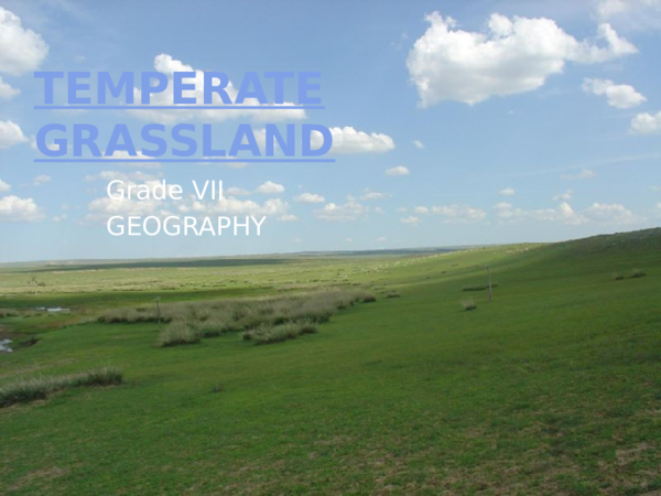 Tropical grassland biome picture