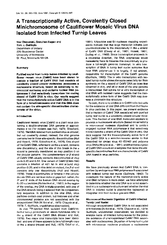 Essay on minichromosome 06 image