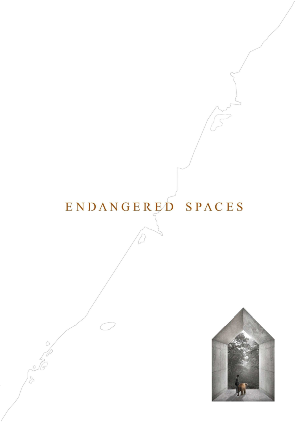 (PDF) Complete Dissertation - ENDANGERED SPACES.pdf