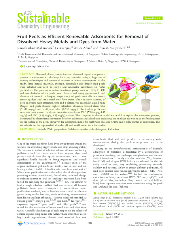 【うみ】 2022 Tige 23ZX | Wizard Lake Marine