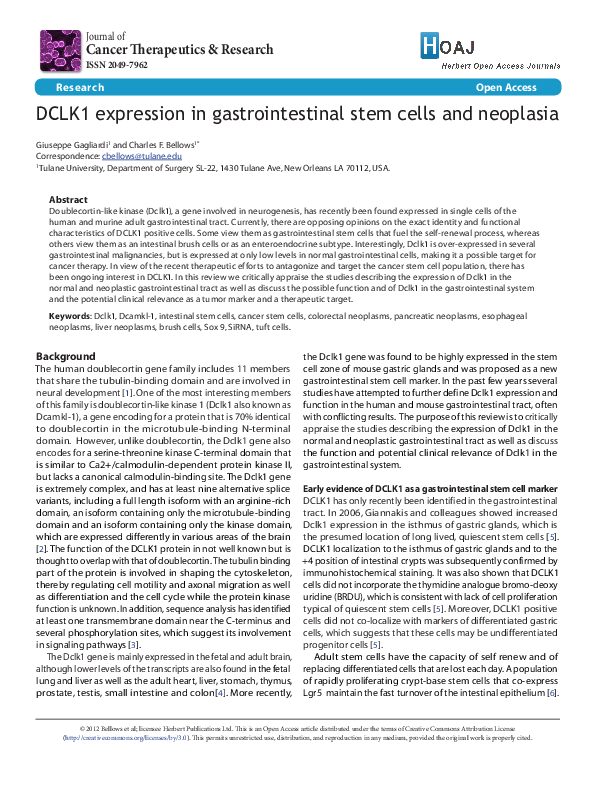 (PDF) DCLK1 expression in gastrointestinal stem cells and neoplasia